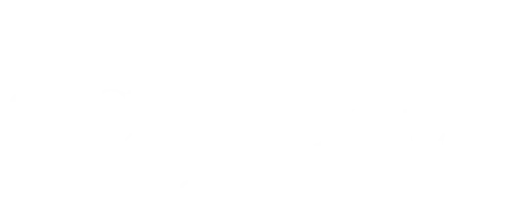 The Scribes - Professional Film Production Company India